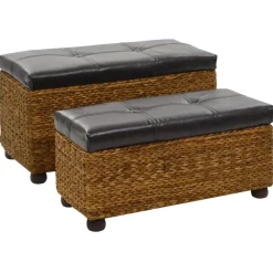 vidaXL Ensemble de banc lot de 2 Jacinthe d'eau