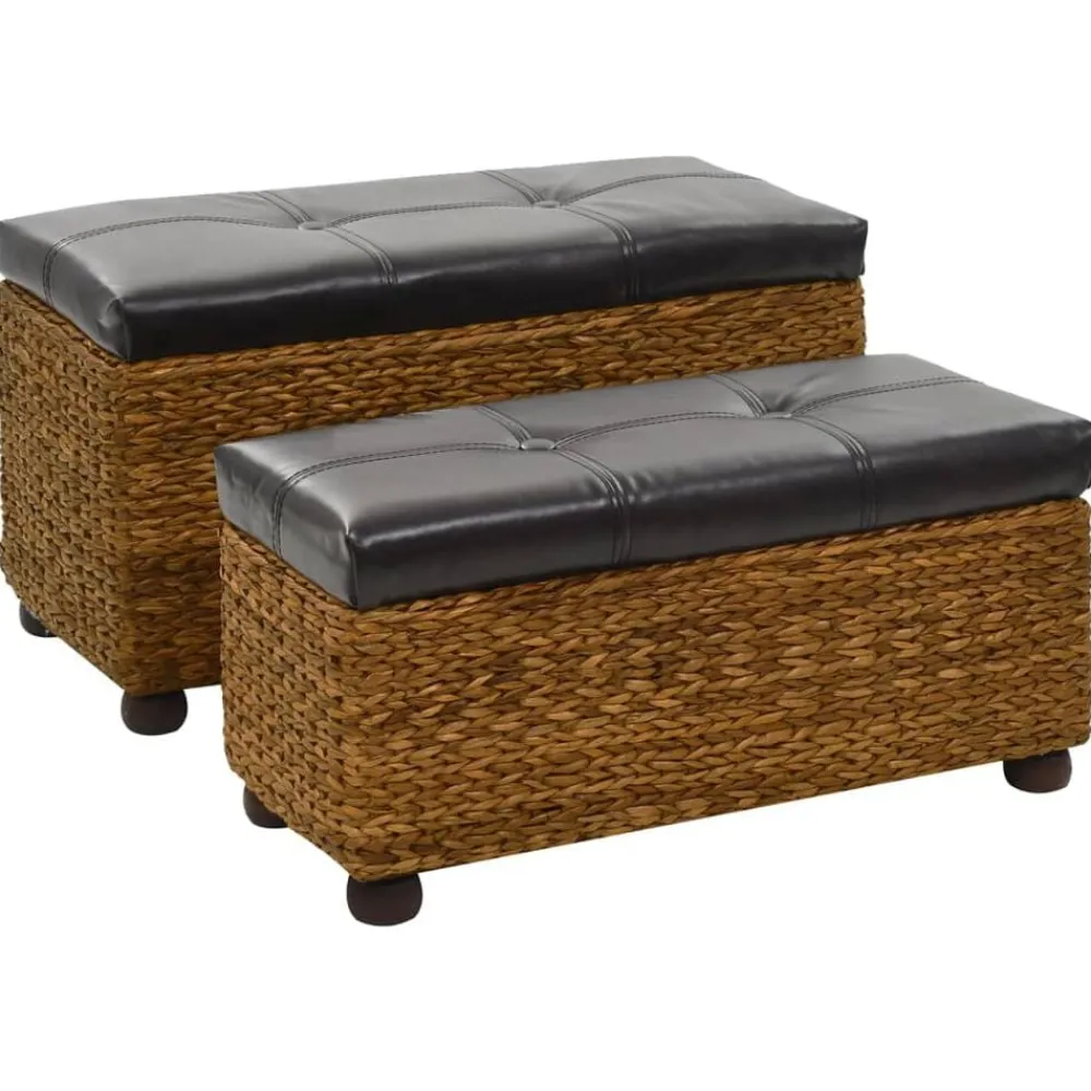 vidaXL Ensemble de banc lot de 2 Jacinthe d'eau