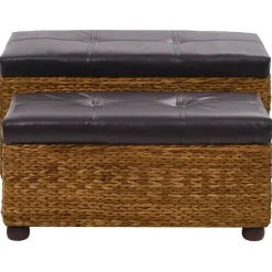vidaXL Ensemble de banc lot de 2 Jacinthe d'eau
