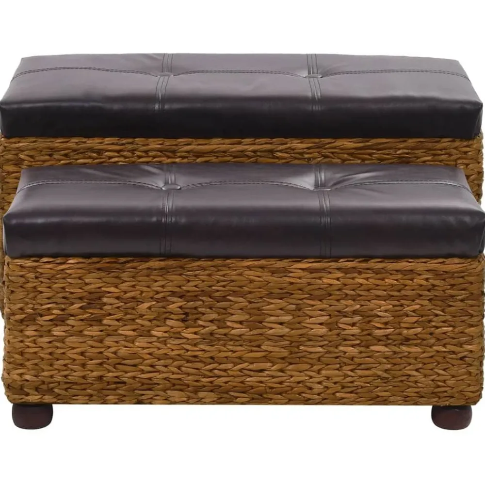 vidaXL Ensemble de banc lot de 2 Jacinthe d'eau