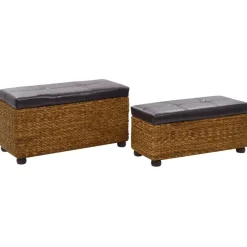 vidaXL Ensemble de banc lot de 2 Jacinthe d'eau