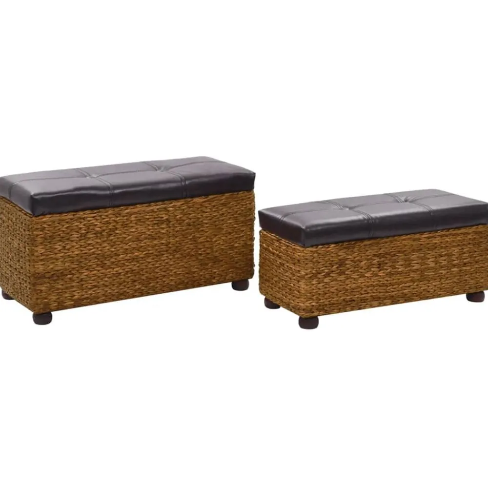 vidaXL Ensemble de banc lot de 2 Jacinthe d'eau