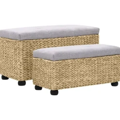 Bancs-vidaXL Ensemble de banc lot de 2 Jacinthe d'eau Gris Marron et gris