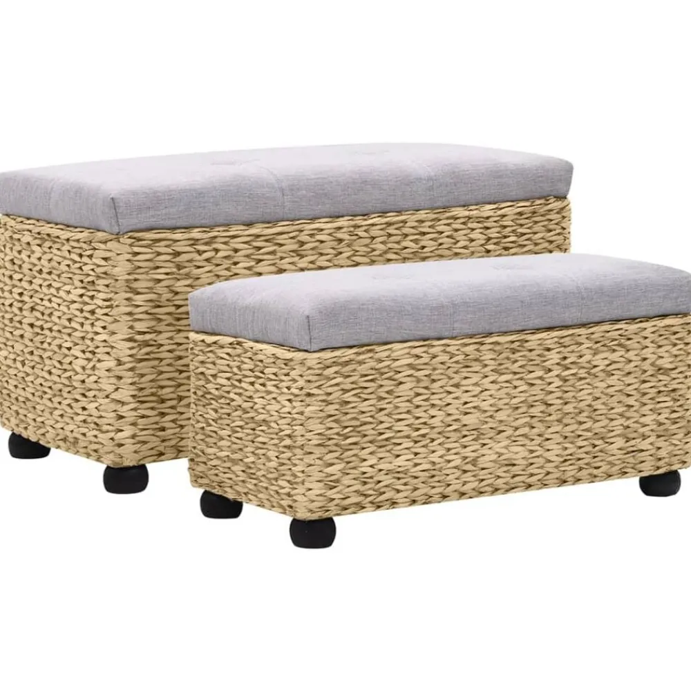 Bancs-vidaXL Ensemble de banc lot de 2 Jacinthe d'eau Gris Marron et gris