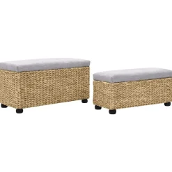 Bancs-vidaXL Ensemble de banc lot de 2 Jacinthe d'eau Gris Marron et gris