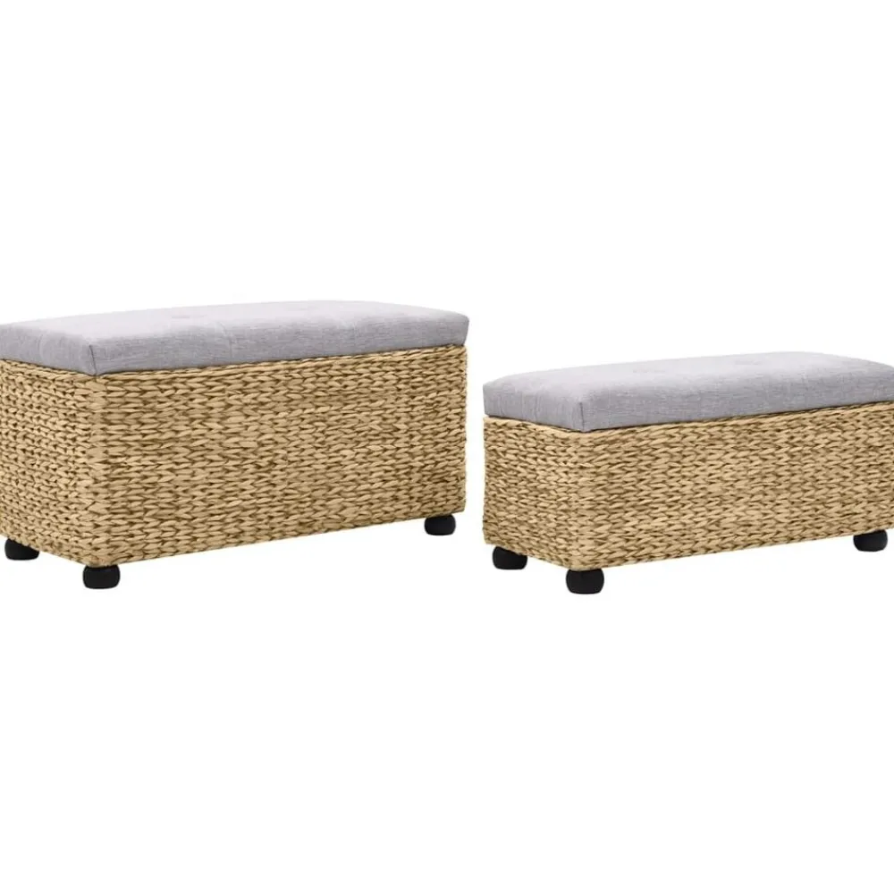 Bancs-vidaXL Ensemble de banc lot de 2 Jacinthe d'eau Gris Marron et gris