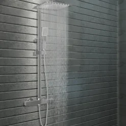 vidaXL Ensemble de douche à deux têtes et thermostat Acier inoxydable