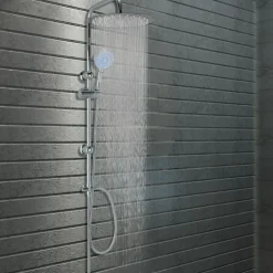 Plomberie-vidaXL Ensemble de douche à deux têtes avec douchette Acier inoxydable