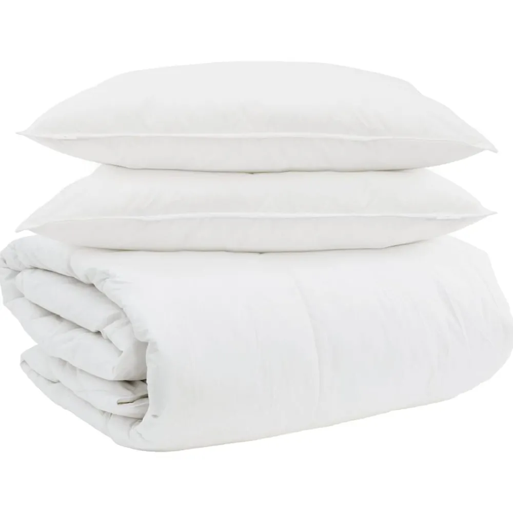 Linge-vidaXL Ensemble de Duvet avec oreiller 3 pcs Blanc Plume de canard