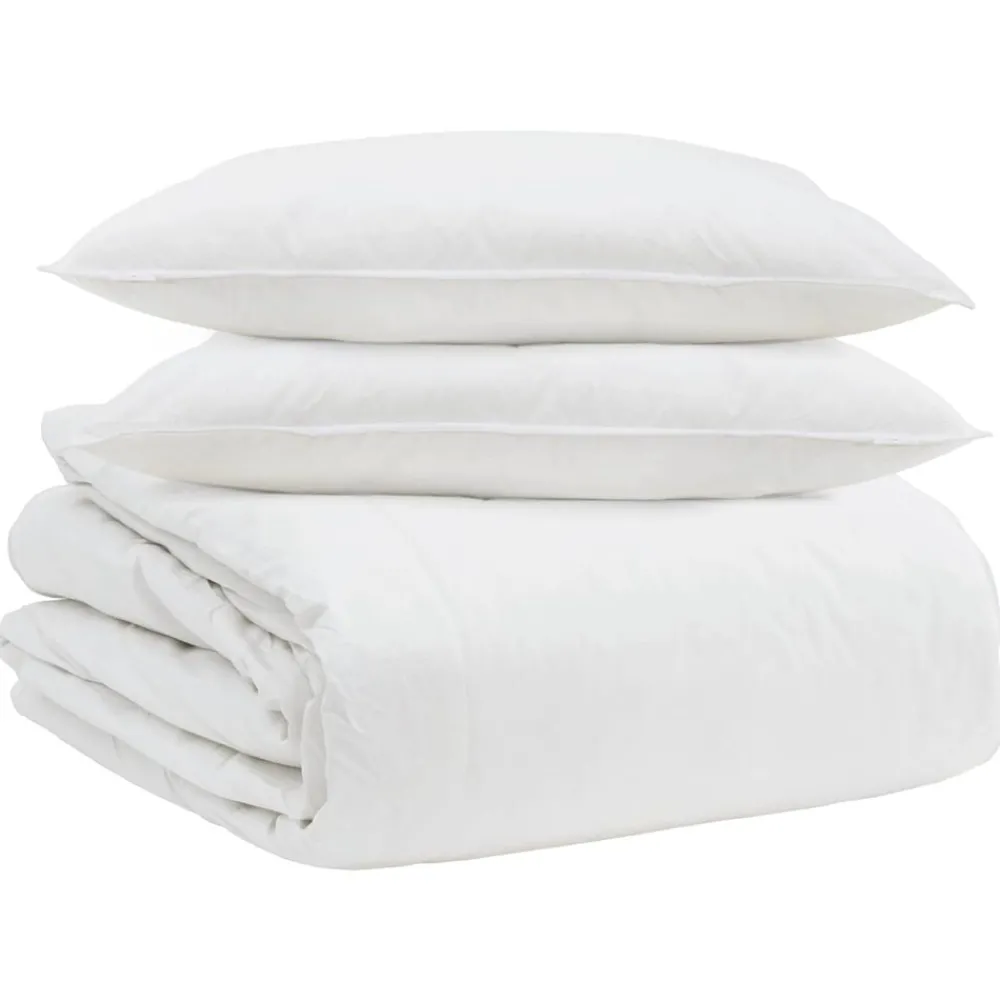 Linge-vidaXL Ensemble de Duvet avec oreiller 3 pcs Blanc Plume de canard
