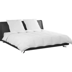 Linge-vidaXL Ensemble de Duvet avec oreiller 3 pcs Blanc Plume de canard