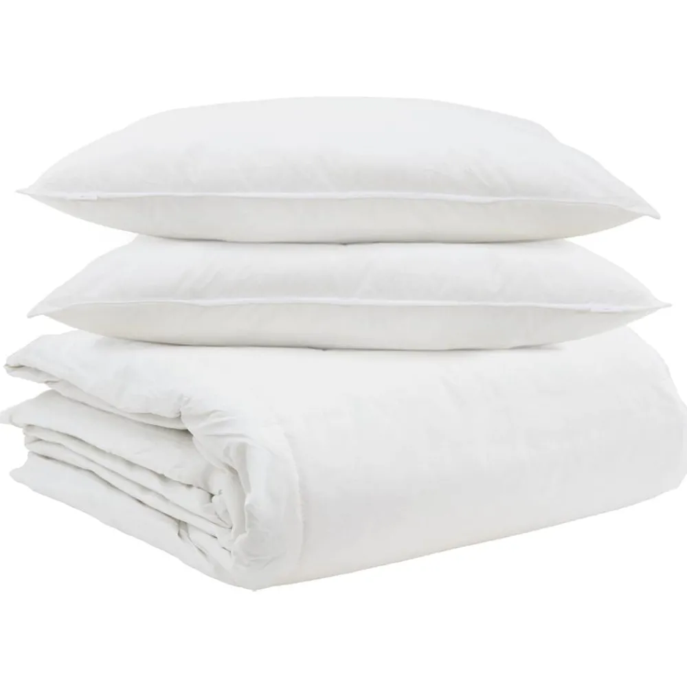vidaXL Ensemble de Duvet avec oreiller 3 pcs Blanc Plume de canard