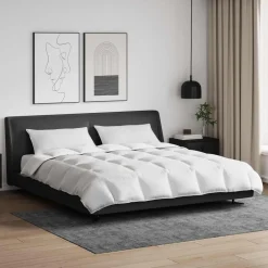 Linge-vidaXL Ensemble de Duvet avec oreiller 3 pcs Blanc Plume de canard