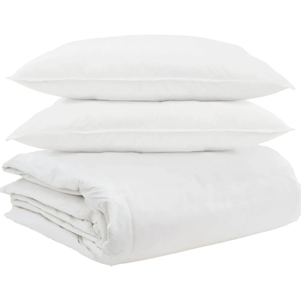 vidaXL Ensemble de Duvet avec oreiller 3 pcs Blanc Plume de canard