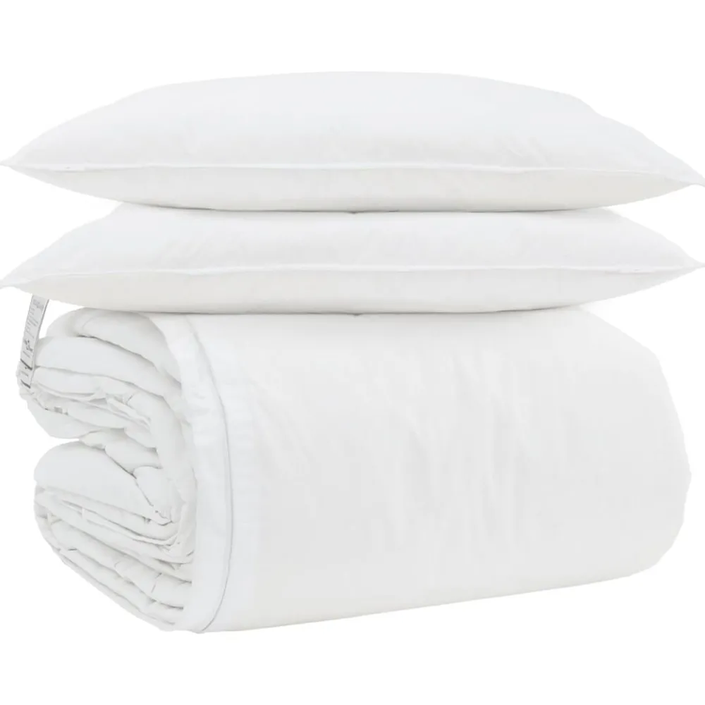 vidaXL Ensemble de Duvet avec oreiller 3 pcs Blanc Plume de canard