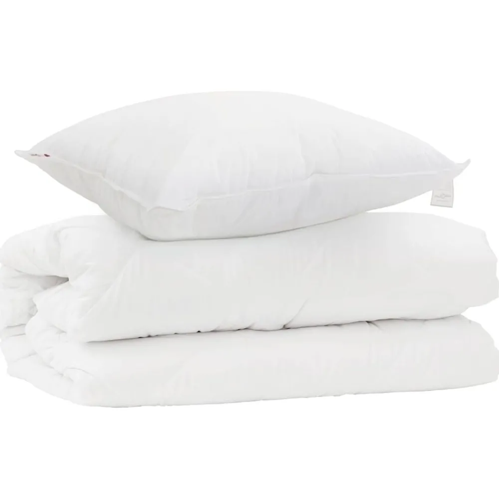 Linge-vidaXL Ensemble de Duvet avec oreiller 2 pcs Blanc Microfibre