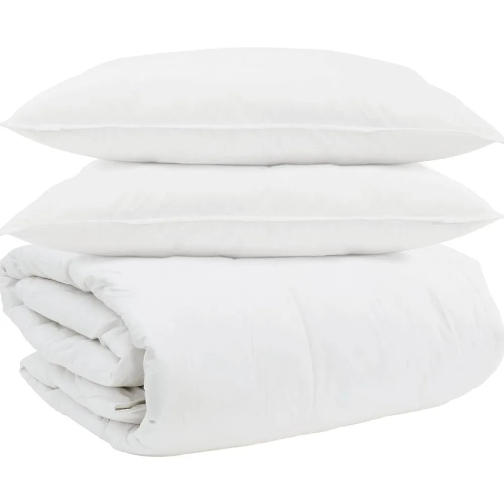 vidaXL Ensemble de Duvet avec oreiller 3 pcs Blanc Plume de canard