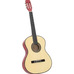 vidaXL Ensemble de guitare classique pour débutants 12 pcs 4/4 39"