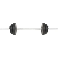 vidaXL Ensemble de haltères 30 kg