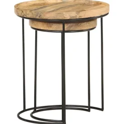 vidaXL Ensemble de table basse 2 pcs bois de manguier massif et acier