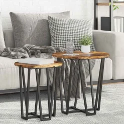 vidaXL Ensemble de tables d'appoint 2 pcs Chêne fumé et noir