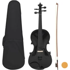 vidaXL Ensemble de violon avec archet et mentonnière 4/4
