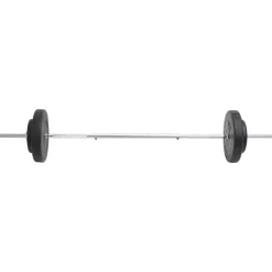 vidaXL Ensemble d'haltères avec plaques 30 kg