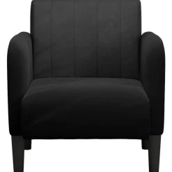 Fauteuils Et Chaises-vidaXL Fauteuil avec accoudoirs 54 cm velours Noir