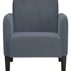 vidaXL Fauteuil avec accoudoirs 54 cm velours
