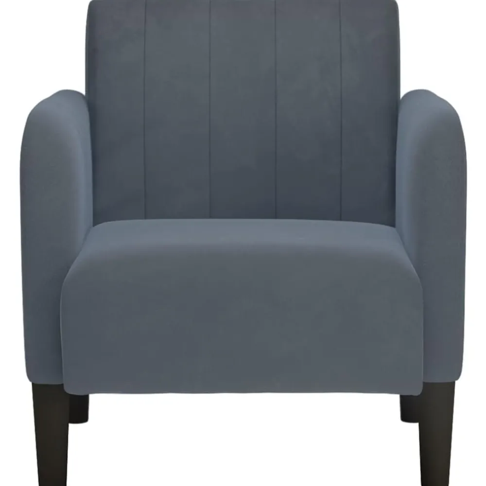 vidaXL Fauteuil avec accoudoirs 54 cm velours