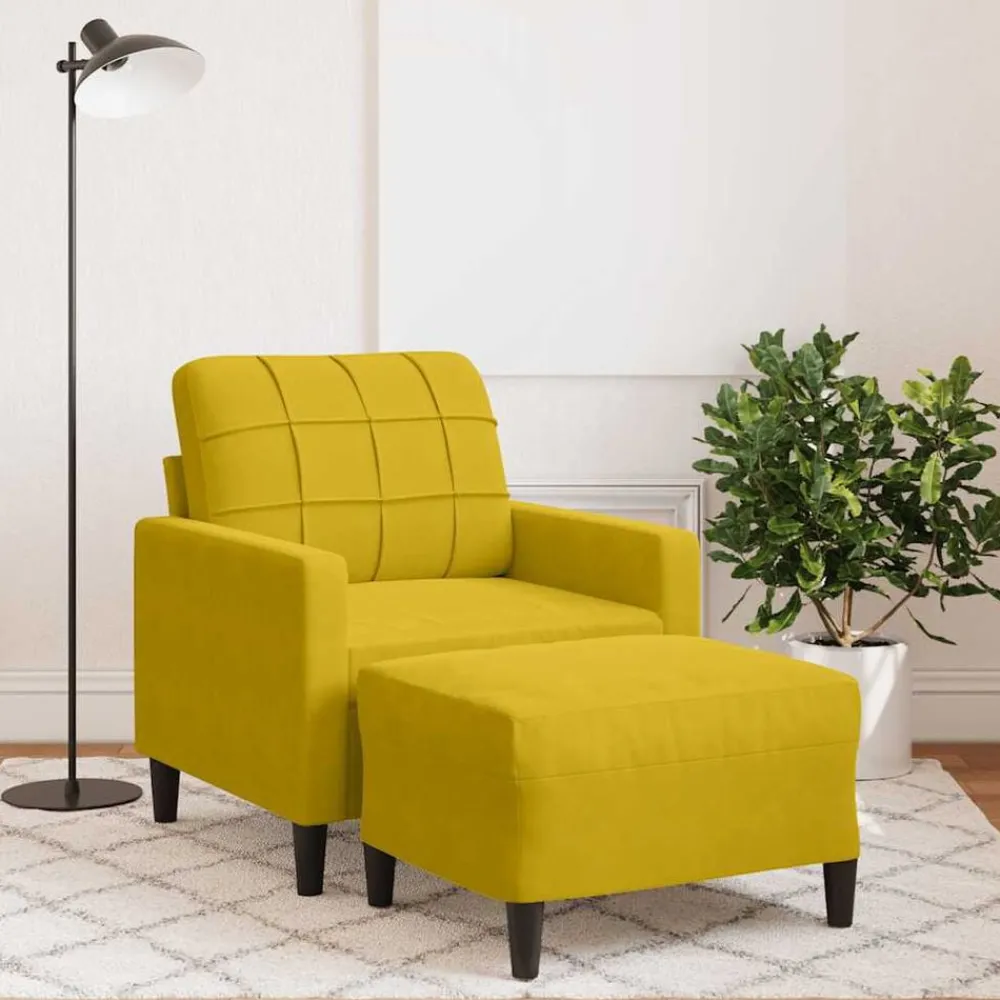 vidaXL Fauteuil avec repose-pied 60 cm velours