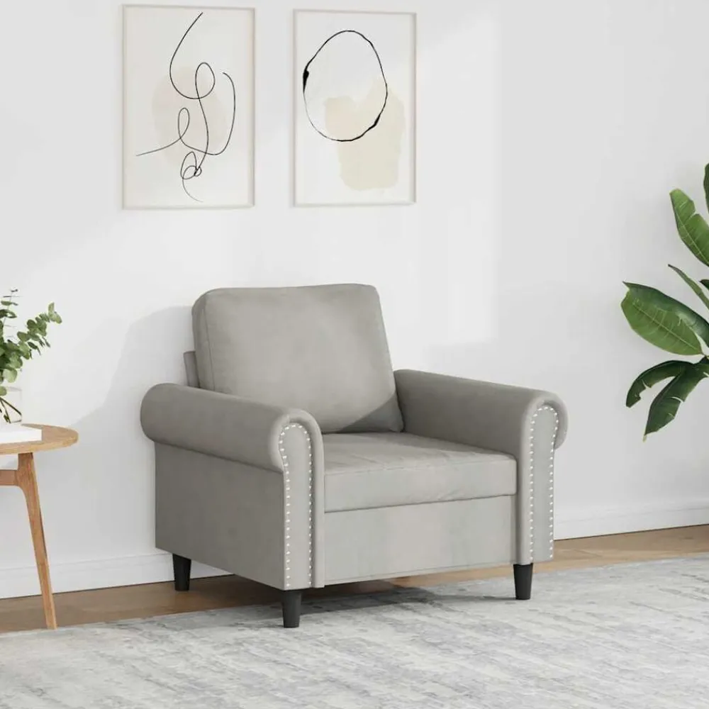 Canapés-vidaXL Fauteuil 60 cm Velours Gris clair