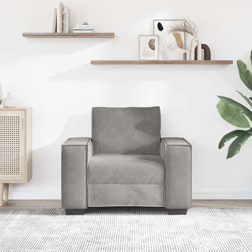 Canapés-vidaXL Fauteuil 100x78x84 cm Velours Gris clair