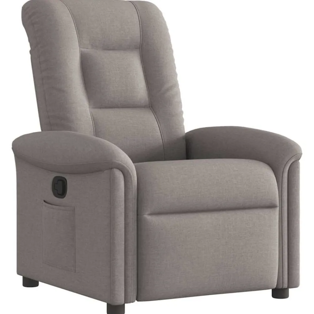 vidaXL Fauteuil inclinable Tissu