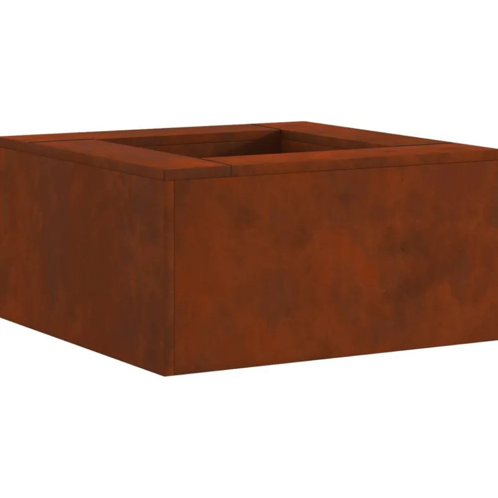 Cheminées-vidaXL Foyer de cheminée Marron 60 x 60 x 30 cm Acier patiné Acier corten/marron