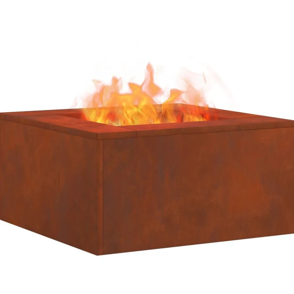Cheminées-vidaXL Foyer de cheminée Marron 60 x 60 x 30 cm Acier patiné Acier corten/marron