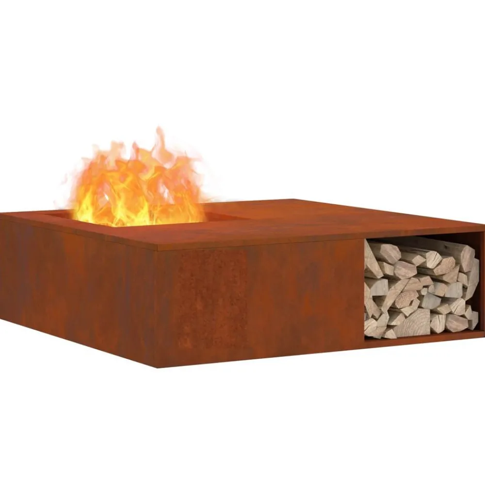 Cheminées-vidaXL Foyer de cheminée Marron 100 x 100 x 30 cm Acier patiné Acier corten/marron