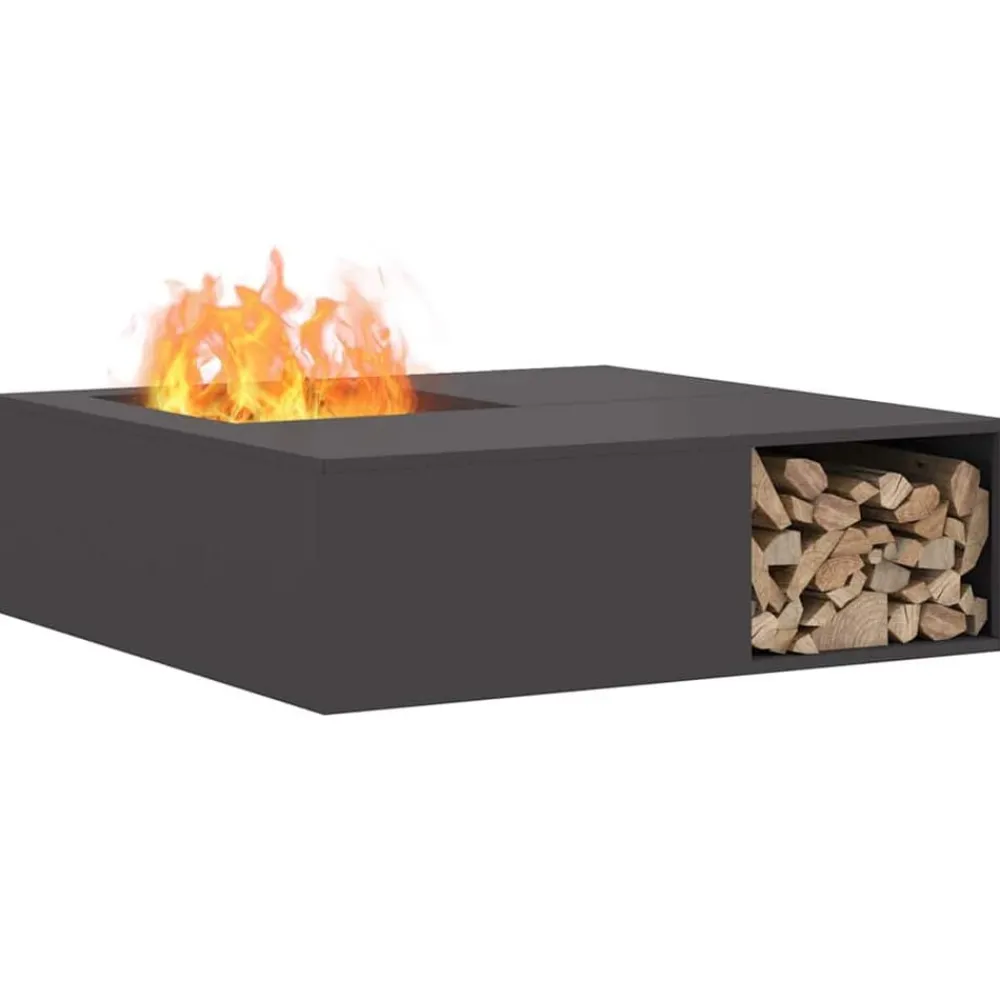 Cheminées-vidaXL Foyer de cheminée Noir 100 x 100 x 30 cm Acier Acier laminé à froid/noir