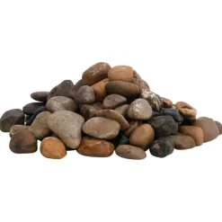 vidaXL Galets polis 10 kg multicolores 2-5 cm