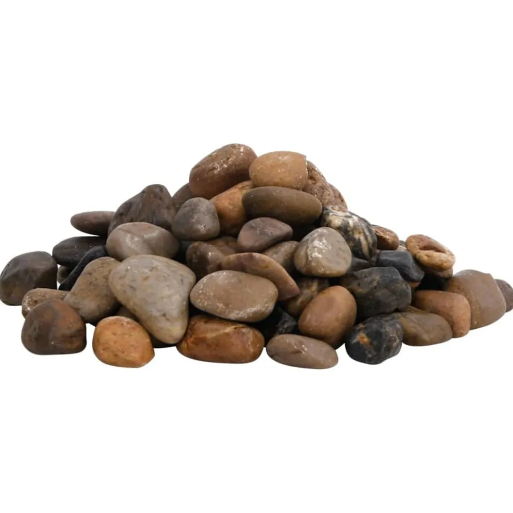 vidaXL Galets polis 10 kg multicolores 2-5 cm