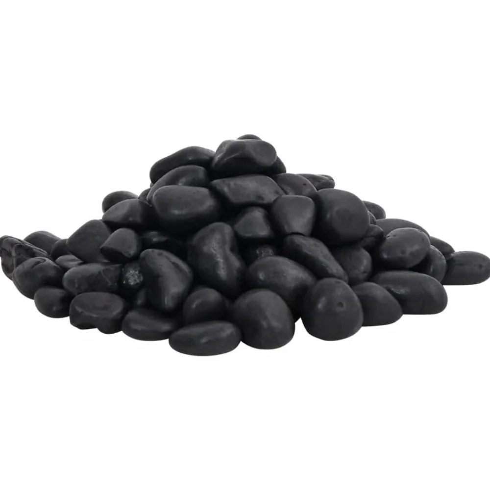 vidaXL Galets polis 10 kg 2-5 cm