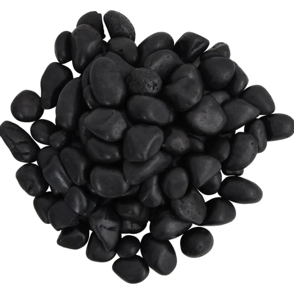 vidaXL Galets polis 10 kg 2-5 cm