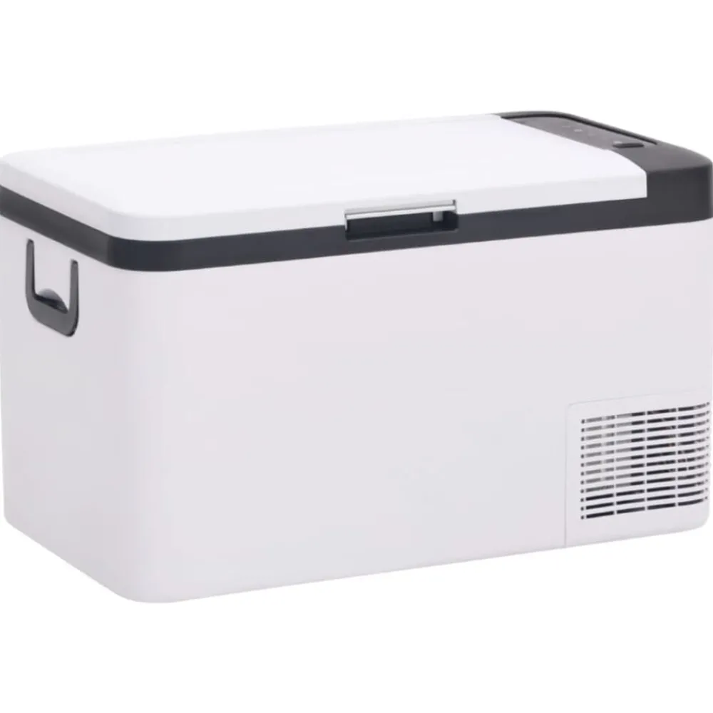 vidaXL Glacière avec poignée noir et blanc 25 L PP et PE