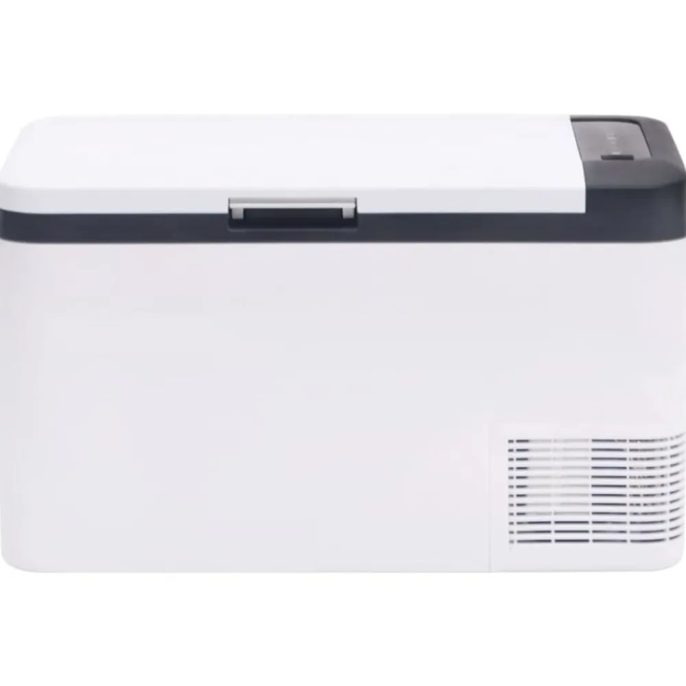 vidaXL Glacière avec poignée noir et blanc 25 L PP et PE