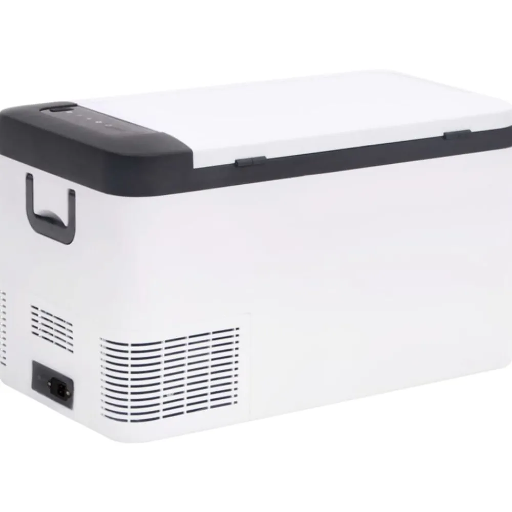 vidaXL Glacière avec poignée et adaptateur noir et blanc 18 L PP et PE