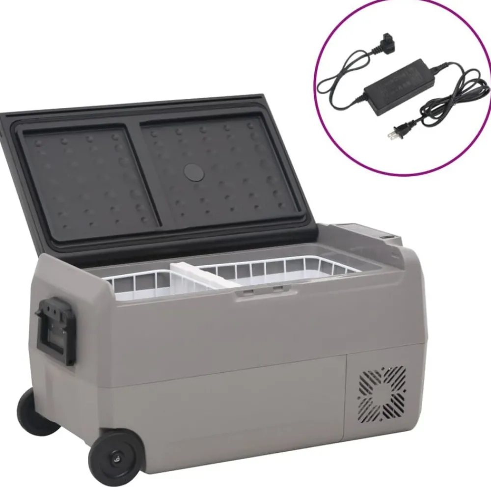 vidaXL Glacière avec roue et adaptateur noir et gris 50 L PP et PE