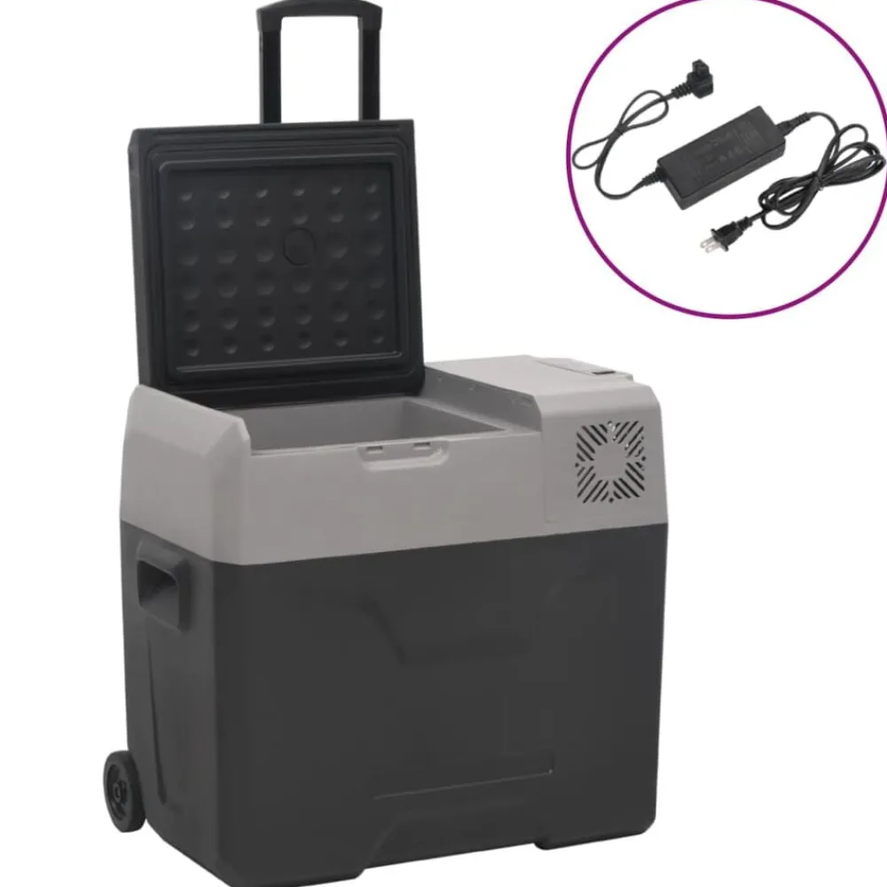 vidaXL Glacière avec roue et adaptateur noir et gris 40L polypropylène
