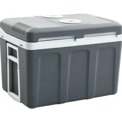 vidaXL Glacière portable thermoélectrique 40 L 12 V 230 V E