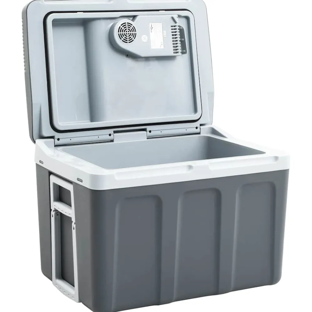 vidaXL Glacière portable thermoélectrique 40 L 12 V 230 V E