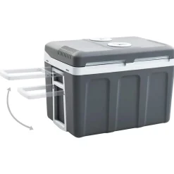 vidaXL Glacière portable thermoélectrique 40 L 12 V 230 V E